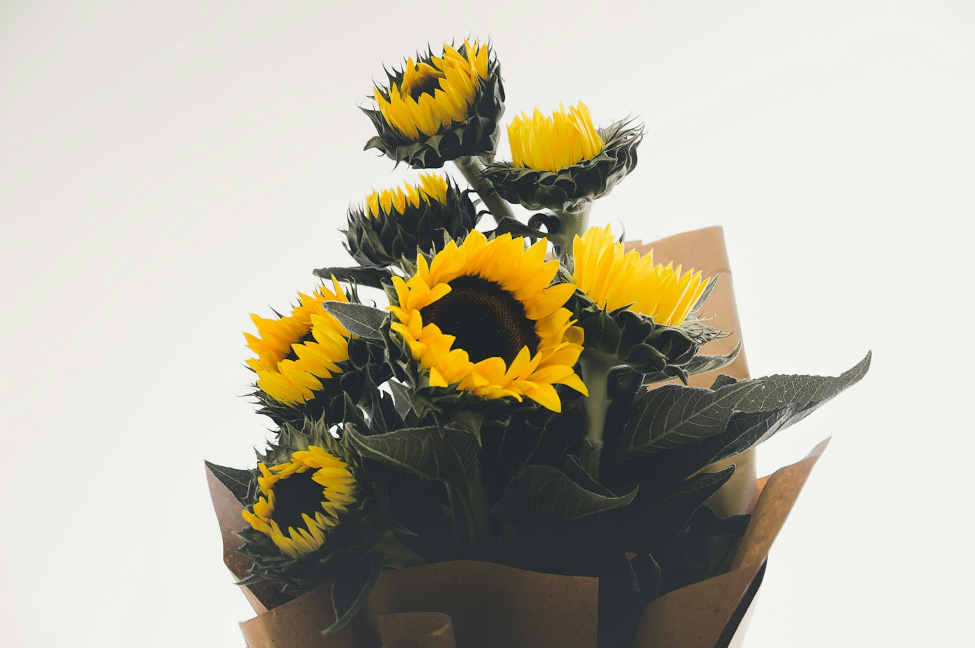 A bouquet of sunflowers wrapped in brown paper